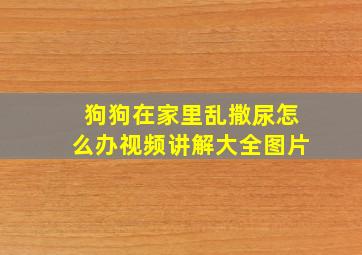 狗狗在家里乱撒尿怎么办视频讲解大全图片