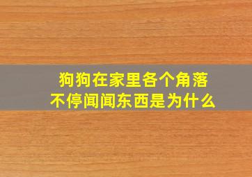 狗狗在家里各个角落不停闻闻东西是为什么