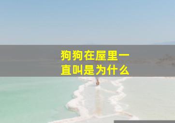 狗狗在屋里一直叫是为什么