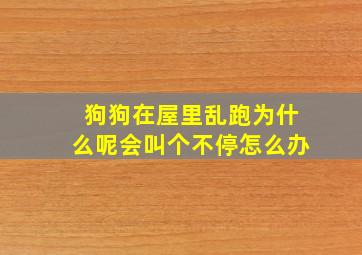 狗狗在屋里乱跑为什么呢会叫个不停怎么办