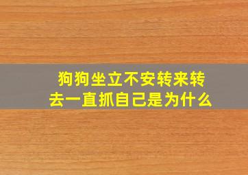 狗狗坐立不安转来转去一直抓自己是为什么