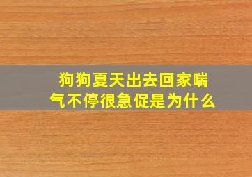 狗狗夏天出去回家喘气不停很急促是为什么