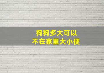 狗狗多大可以不在家里大小便