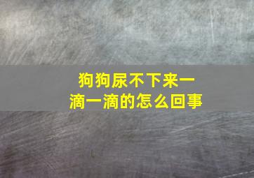 狗狗尿不下来一滴一滴的怎么回事