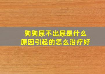 狗狗尿不出尿是什么原因引起的怎么治疗好