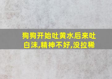 狗狗开始吐黄水后来吐白沫,精神不好,没拉稀