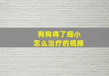 狗狗得了细小怎么治疗的视频