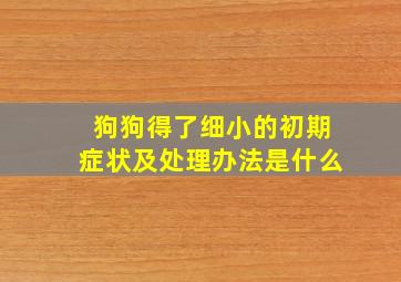 狗狗得了细小的初期症状及处理办法是什么