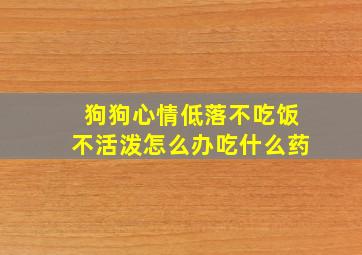 狗狗心情低落不吃饭不活泼怎么办吃什么药