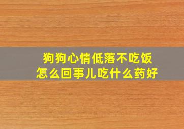 狗狗心情低落不吃饭怎么回事儿吃什么药好