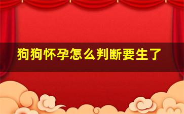 狗狗怀孕怎么判断要生了