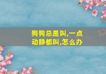 狗狗总是叫,一点动静都叫,怎么办