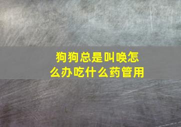 狗狗总是叫唤怎么办吃什么药管用