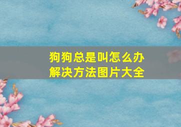 狗狗总是叫怎么办解决方法图片大全