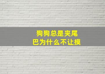 狗狗总是夹尾巴为什么不让摸