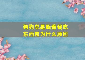 狗狗总是躲着我吃东西是为什么原因