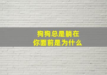 狗狗总是躺在你面前是为什么