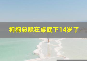 狗狗总躲在桌底下14岁了