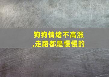 狗狗情绪不高涨,走路都是慢慢的