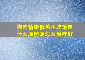 狗狗情绪低落不吃饭是什么原因呢怎么治疗好