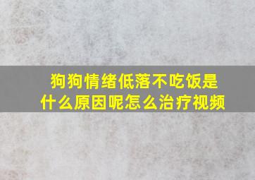 狗狗情绪低落不吃饭是什么原因呢怎么治疗视频