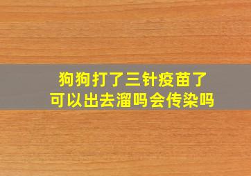 狗狗打了三针疫苗了可以出去溜吗会传染吗