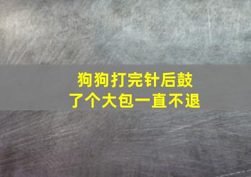 狗狗打完针后鼓了个大包一直不退