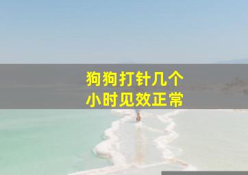 狗狗打针几个小时见效正常