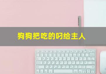 狗狗把吃的叼给主人