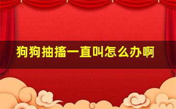 狗狗抽搐一直叫怎么办啊