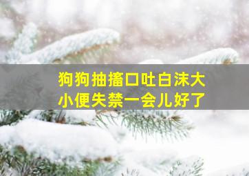 狗狗抽搐口吐白沫大小便失禁一会儿好了