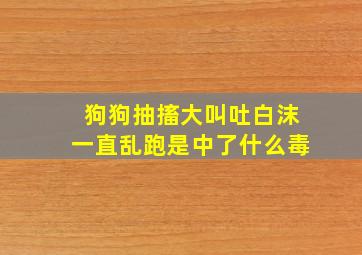 狗狗抽搐大叫吐白沫一直乱跑是中了什么毒