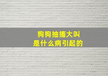 狗狗抽搐大叫是什么病引起的