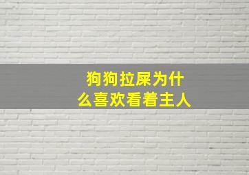 狗狗拉屎为什么喜欢看着主人