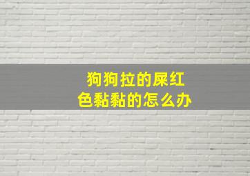 狗狗拉的屎红色黏黏的怎么办