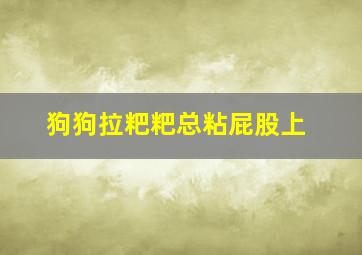 狗狗拉粑粑总粘屁股上