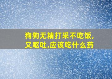 狗狗无精打采不吃饭,又呕吐,应该吃什么药