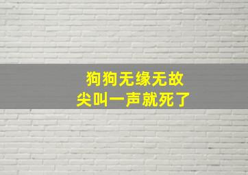 狗狗无缘无故尖叫一声就死了