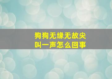 狗狗无缘无故尖叫一声怎么回事