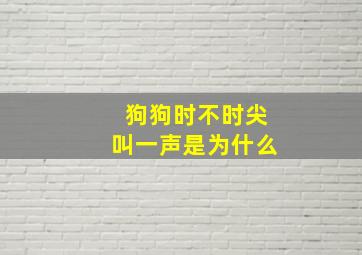 狗狗时不时尖叫一声是为什么