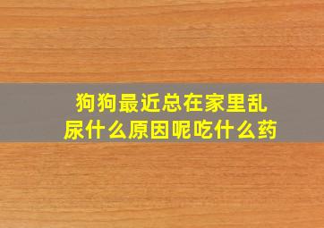 狗狗最近总在家里乱尿什么原因呢吃什么药