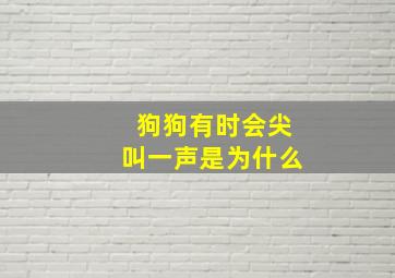 狗狗有时会尖叫一声是为什么