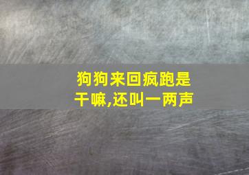 狗狗来回疯跑是干嘛,还叫一两声