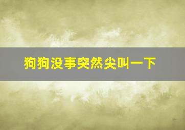 狗狗没事突然尖叫一下