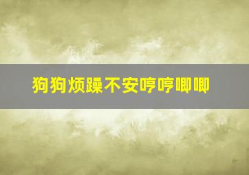 狗狗烦躁不安哼哼唧唧