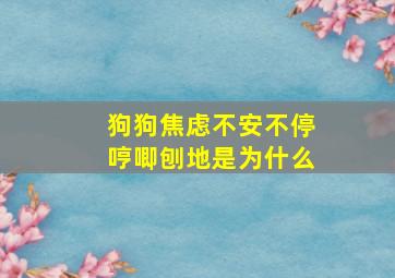 狗狗焦虑不安不停哼唧刨地是为什么