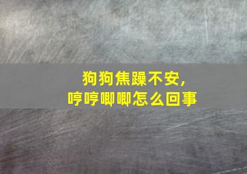 狗狗焦躁不安,哼哼唧唧怎么回事