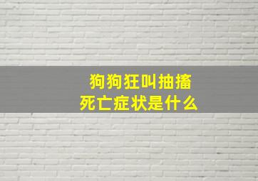 狗狗狂叫抽搐死亡症状是什么