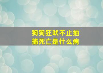 狗狗狂吠不止抽搐死亡是什么病