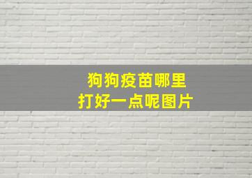 狗狗疫苗哪里打好一点呢图片